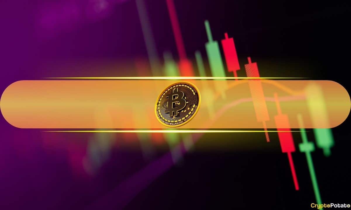 恒星币(XLM)日涨33%,比特币(BTC)维持9万美元水平(市场动态)